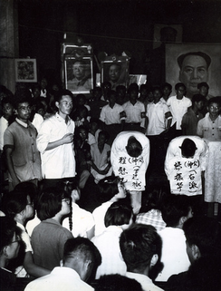 cultural revolution struggle session